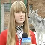 Donkey Speaks